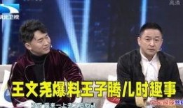 小王最新爆料视频大全,揭秘娱乐圈幕后真相